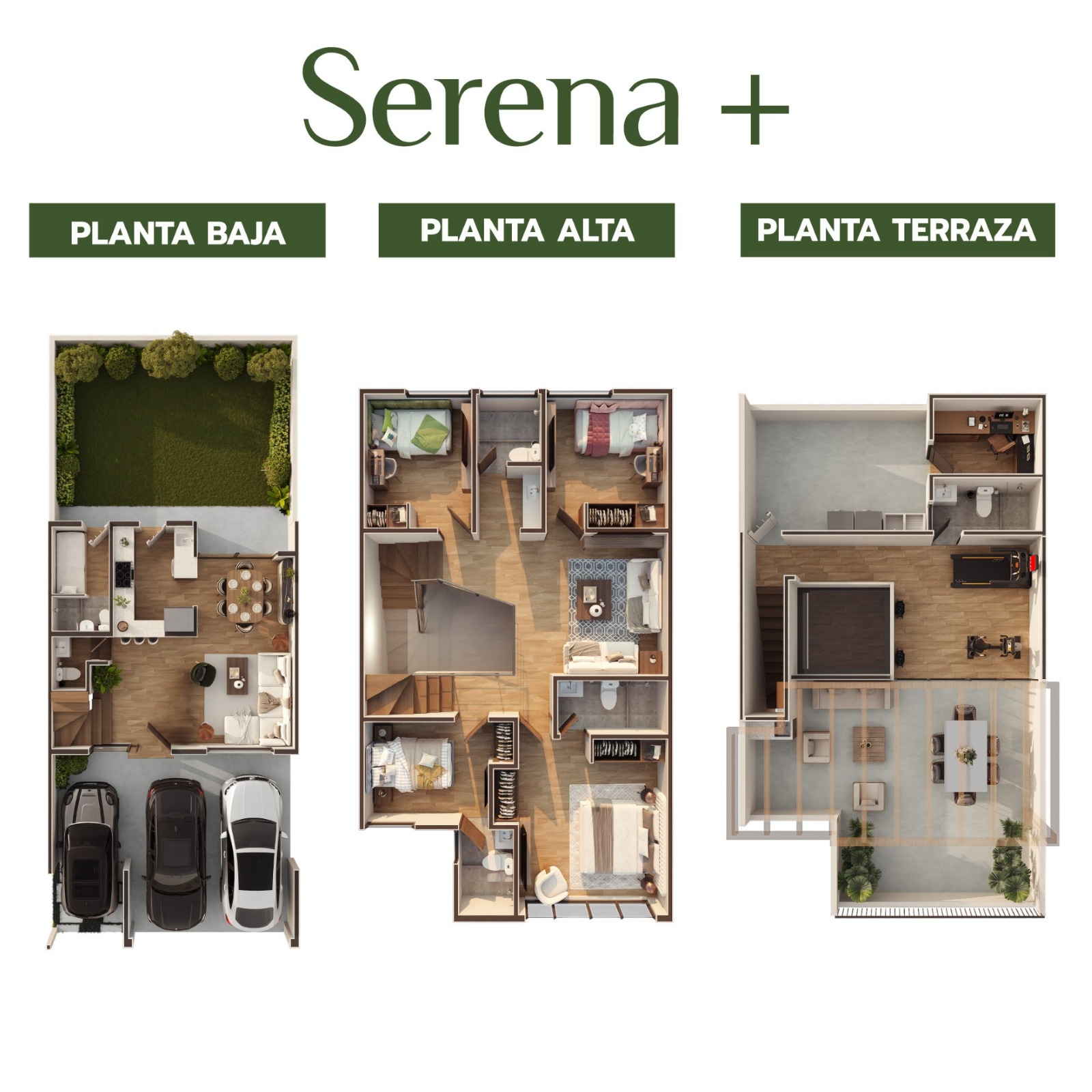 Serena Plus 249m² 