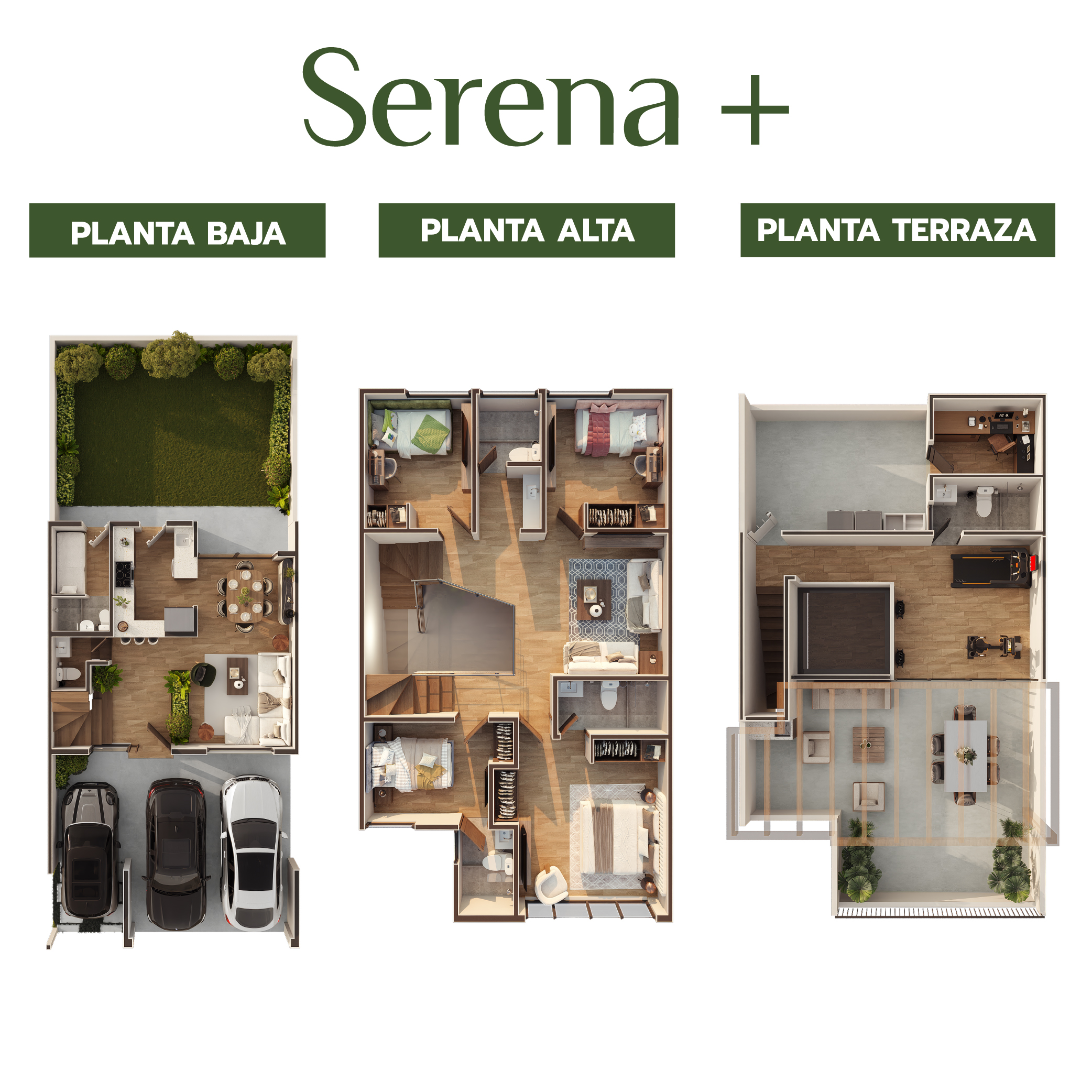 Serena Plus 249m²